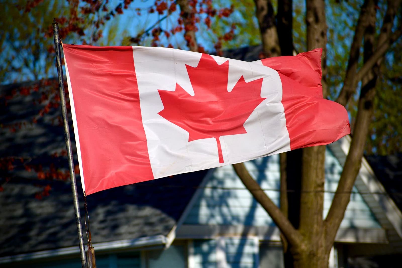 A Canadian flag waving on a pole in front of trees and a house, under the headline The loonie