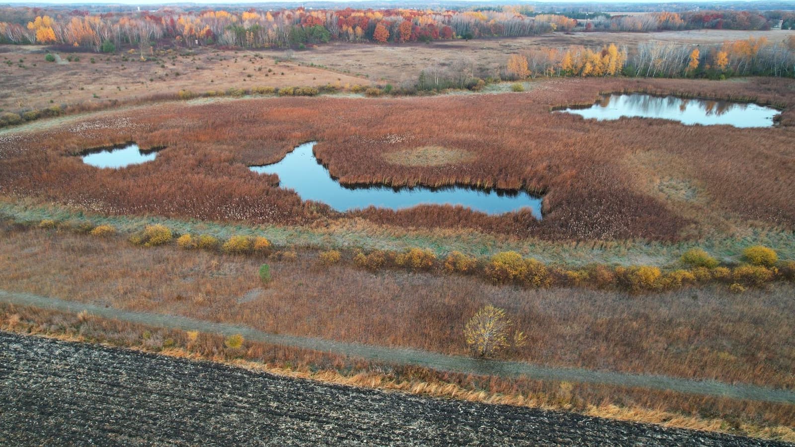 An aerial view of autumn wetlands with small ponds and a treeline, under the headline Permitting