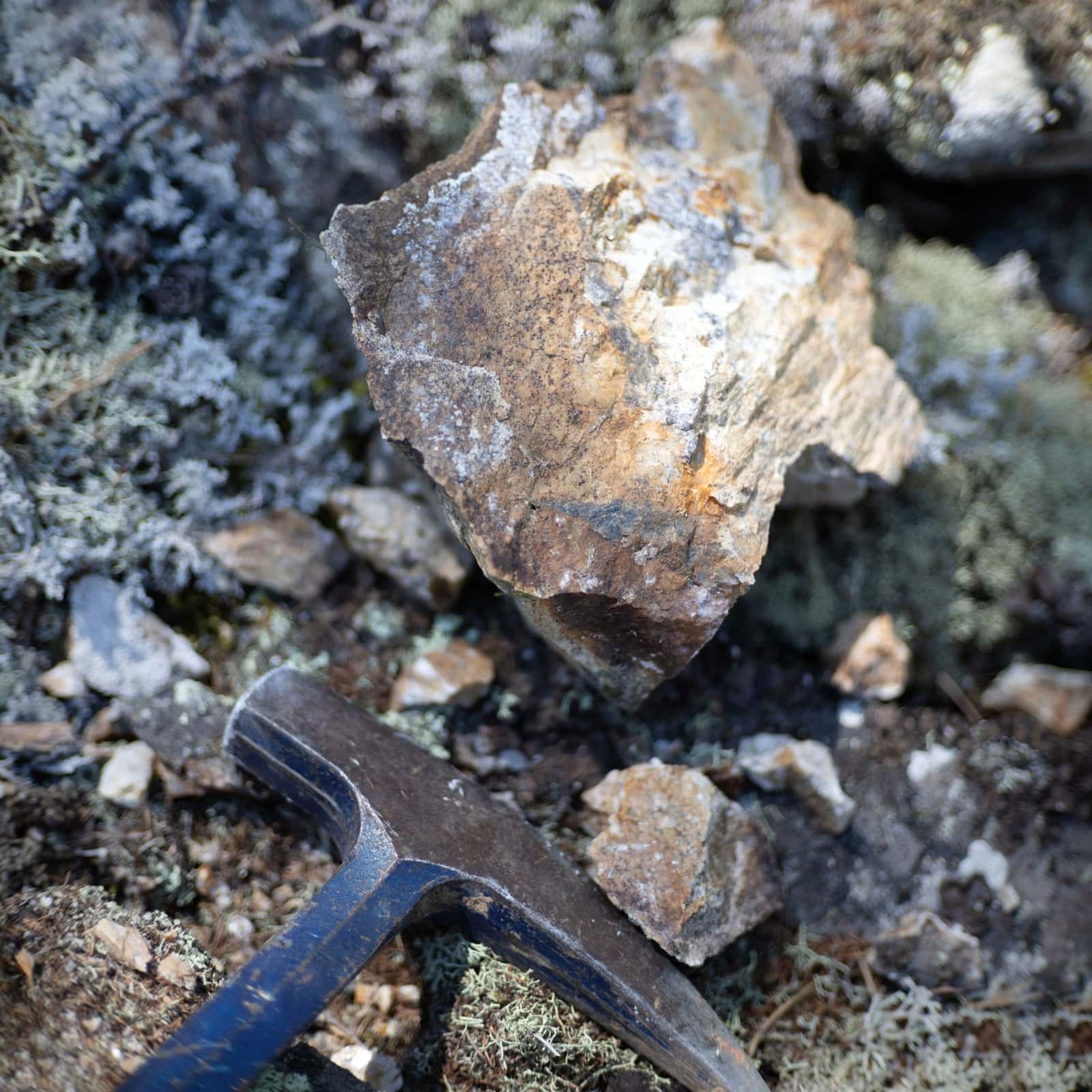 A rock hammer beside a mineral sample on rough ground, under the headline Four types of juniors