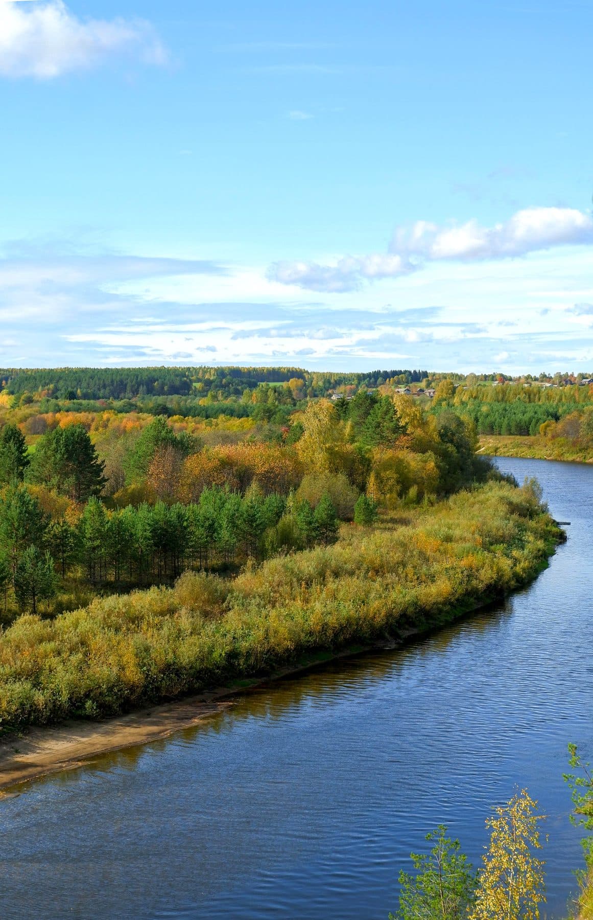 A river winding through mixed forest under a blue sky, under the headline Consultation